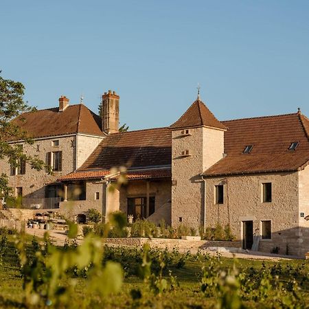 Clos Des Dames De Lancharre - La Maison Des Vignes Bed and Breakfast Chapaize Esterno foto